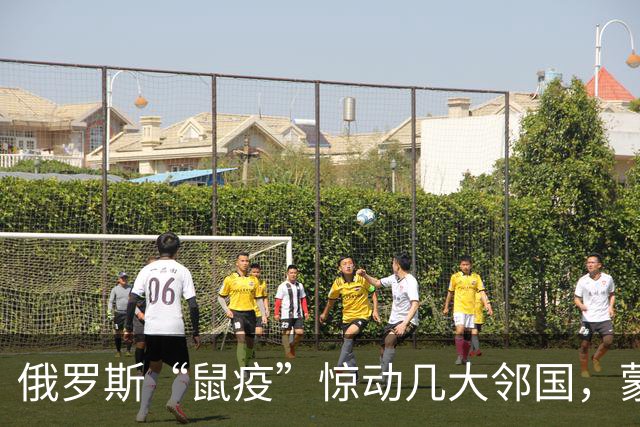 俄罗斯“鼠疫”惊动几大邻国，蒙古先下手为强，在边境拉响警报